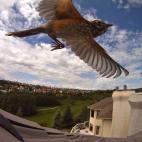 5c8b72b43b000002076d9bef