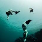 5c8b72b42400006c05a4bd69