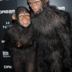 5c8a3743250000520680dc9b