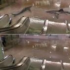 5c8acf673b000054066c9d93