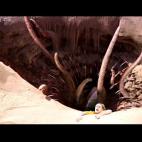 5c8b30f8240000f7054d140a