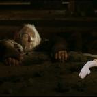 5c8b30f922000030001a8206