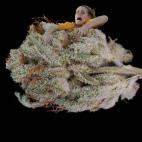 5c8b30fa2300005300e7cc64