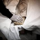 5c8ad07a250000520681ccbe