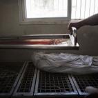 5c8ad07e240000f7054c818c