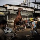 5c8ad08320000045046fcd05