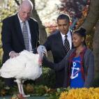 5c8b3b5d240000f7054d29eb