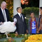 5c8b3b5f20000043047072b9