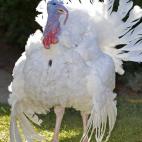 5c8b3b5f24000093024d29ed