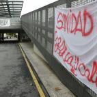 5c8a8e7a20000045046f4c03