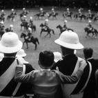 5c8ad1533b000002076ca0ef