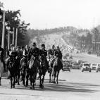 5c8ad1542400004205a3be5a