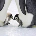 5c8acaad2300005300e72e37