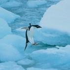 5c8acaad250000580681c18e