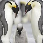 5c8acaae2500001304c9a7e9