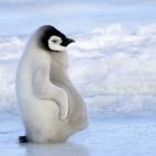 5c8acaae2500001304c9a7eb