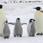 5c8acaaf2300005300e72e39