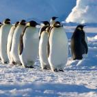 5c8acaaf3b000054066c9517