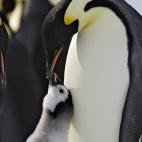 5c8acab0250000580681c192