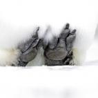 5c8acab02300002f00e72e3d