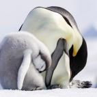 5c8acab12000009e046fc195