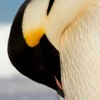 5c8acab1230000040123b76f