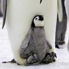 5c8acab12000009d036fc197