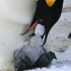 5c8acab22000009e046fc199