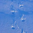 5c8acab2360000ba1a6c1440