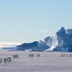 5c8acab32500000704c9a7f3