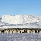 5c8acab32500000d04c9a7f5