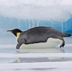 5c8acab32500000a0681c19a