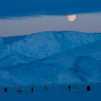 5c8acab3250000580681c19c