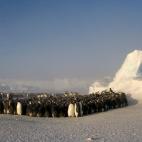 5c8acab42500000704c9a7f9