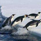 5c8acab43b000002076c9523