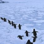 5c8acab42300007f0123b776