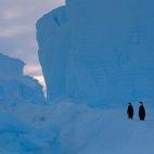 5c8acab52500000d04c9a7fd