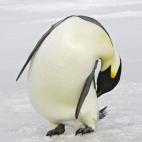 5c8acab62400004205a3b20b