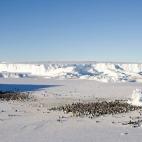 5c8acab7240000f7054c7704