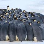 5c8acab7250000580681c1a2