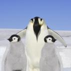 5c8acab73b000072066c952f