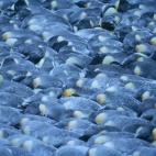 5c8acab82500001304c9a805