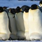 5c8acab820000043046fc1a9