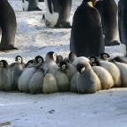 5c8acab920000045046fc1ab