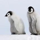 5c8acab92500000a0681c1a4