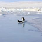 5c8acab92400004205a3b20f