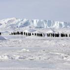 5c8acaba3b000054066c9531