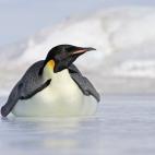 5c8acaba230000040123b782