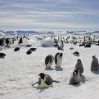 5c8acabb250000580681c1a8