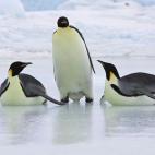 5c8acabc20000043046fc1af